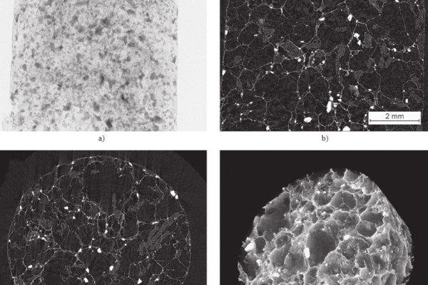 Micro-CT in Tissue Engineering Scaffolds Designed for Bone Regeneration: Principles and Application